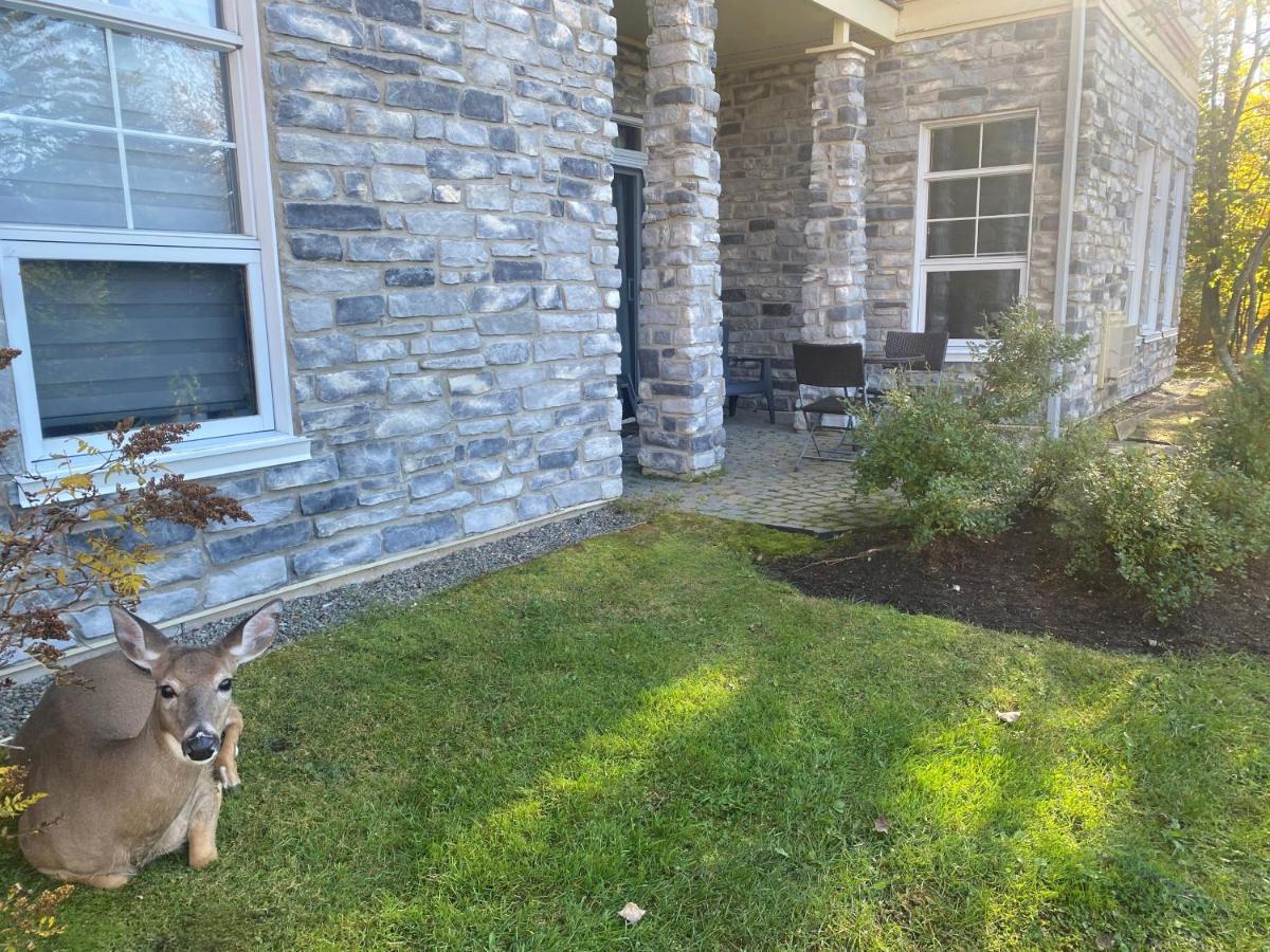 Rental Condo Tremblant-Les-Eaux Μοντ Τρεμπλάν Εξωτερικό φωτογραφία
